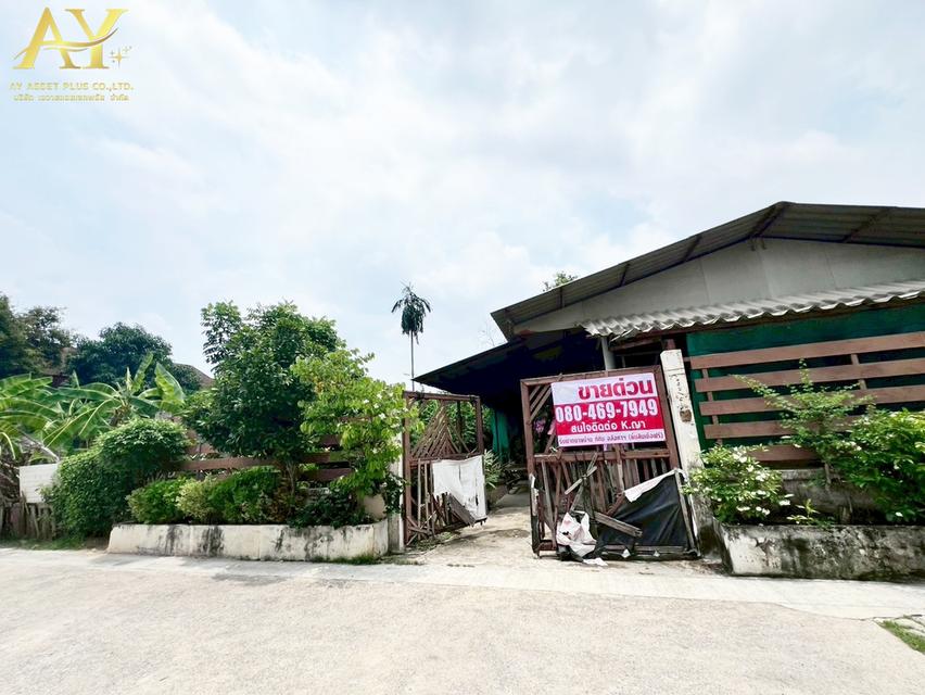 ขายที่ดิน ใกล้ถนนกรุงเทพ-นนท์ นนทบุรี เนื้อที่202ตรว.ขายเพียง 45,000/ตรว
