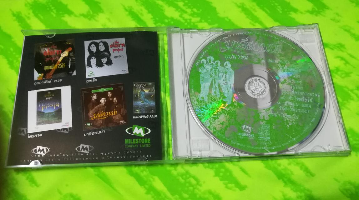 ขาย CD มาลีฮวนน่า