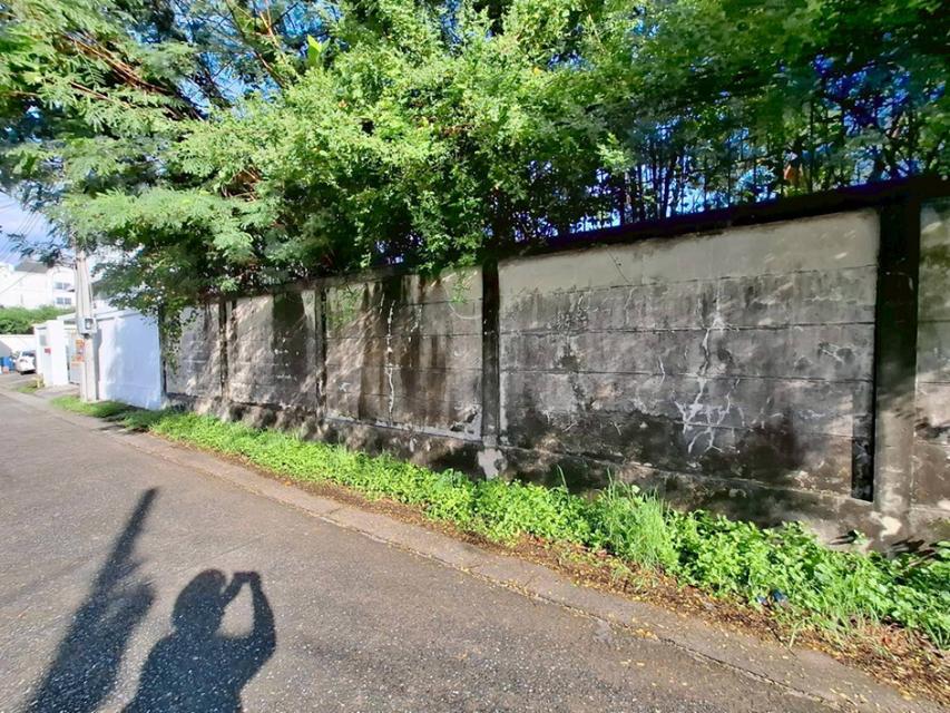 ด่วน! ที่ดินสวยใจกลางเลียบด่วนฯ ซ.ประดิษฐ์มนูธรรม 23 | 200 ตร.วา | เหมาะปลูกบ้าน ออฟฟิศ |แปลงสวย หน้ากว้าง ใกล้ทางด่วน เ 6