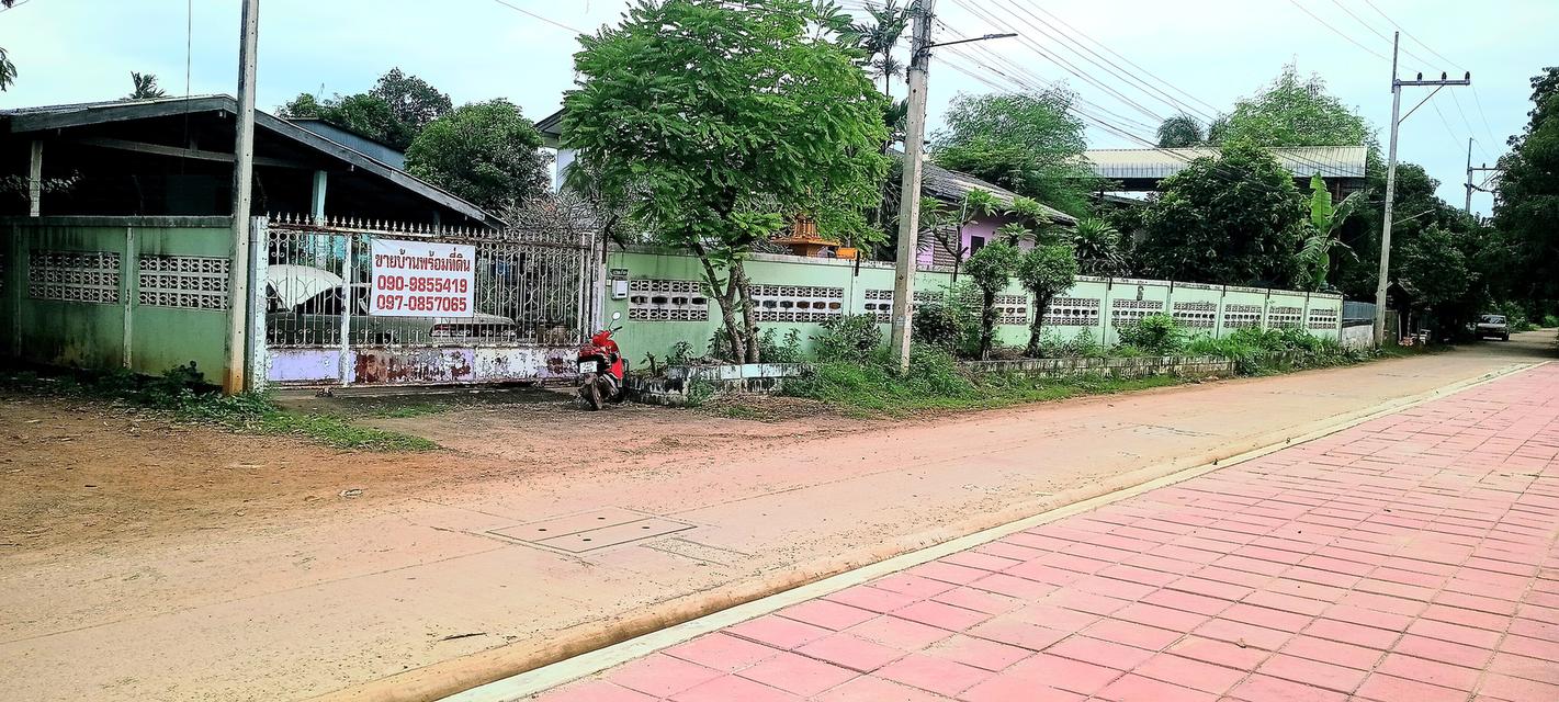 บ้านและที่ดิน 180ตรว. อยู่ใน อ.หนองม่วง จ.ลพบุรี 3