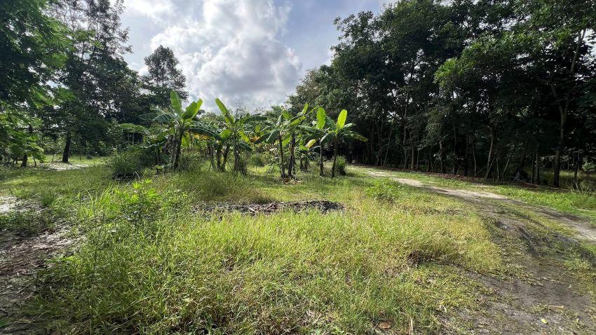 ขายที่ดิน ทับมา ระยอง แปลงสวย วิวธรรมชาติ ติดคลอง 8-2-93 ไร่ 2