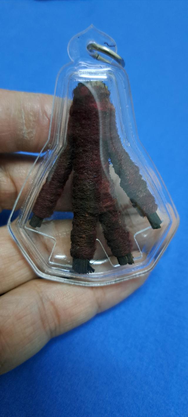 หุ่นพยนต์ อาจารย์อ๊อด แจกป่าช้า สนั่นทุ่ง รูปย่อยที่ 2