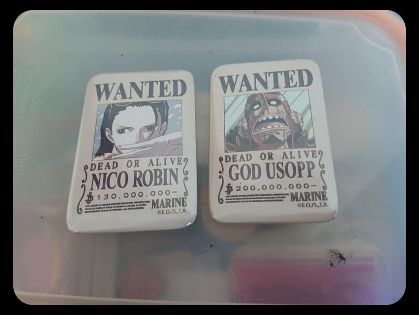 ล็อกเก็ต onepice wanted