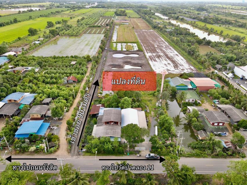 ขายที่ดินคลอง 11 หนองเสือ ปทุมธานี — 300 ตร.ว. ราคา 1.15 ล้านบาท 2