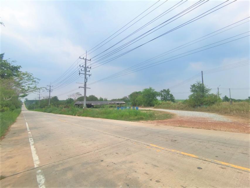 รูป ขาย ที่ดิน ME305 แปลงใหญ่ ราคาถูก หนองอิรุณ บ้านบึง ชลบุรี . 103 ไร่ 70 ตร.วา ติดถนนสาธารณะ ใกล้ถนน 331 เพียง 4 Km. 2