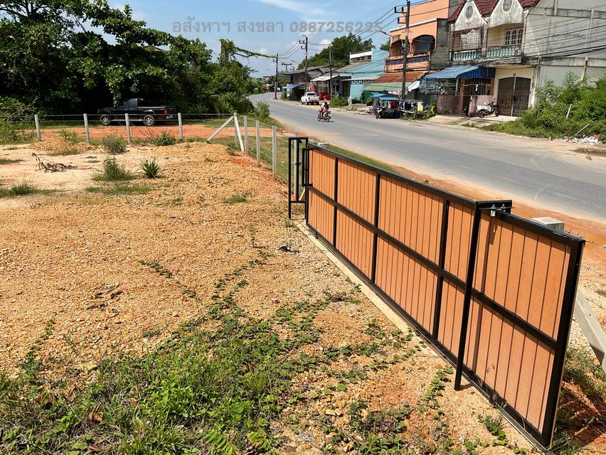 ขายที่ดิน 1 งาน 49 ตารางวา (บางแฟบ หาดใหญ่) 2