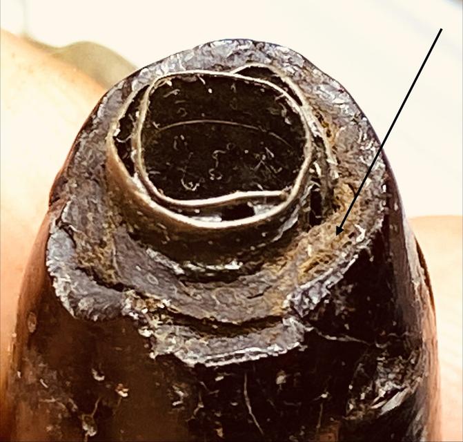 ตระกรุดหนังหน้าผากเสือ หลวงปู่บุญ