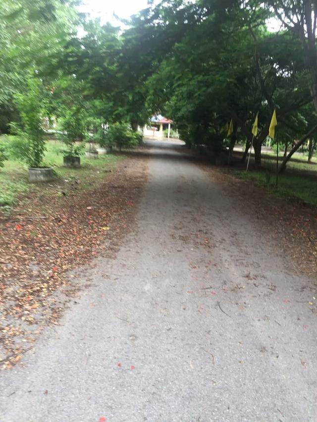 ขายที่ดิน 19 ไร่ ตำบลบ้านงิ้ว  อำเภอสามโคก  จังหวัดปทุมธานี 3