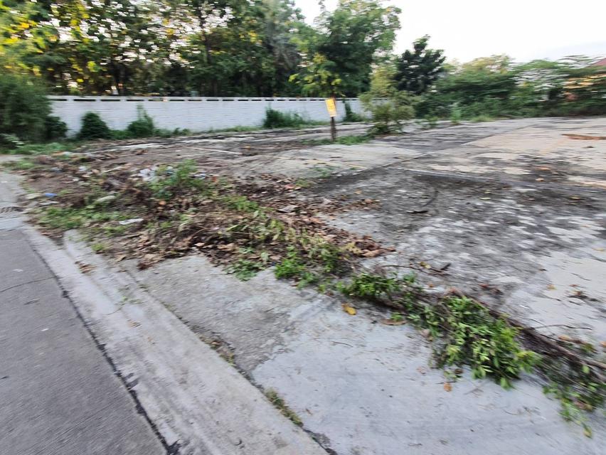 ขายที่ดิน 1 ไร่กรุงเทพกรีฑา, กรุงเทพ 6