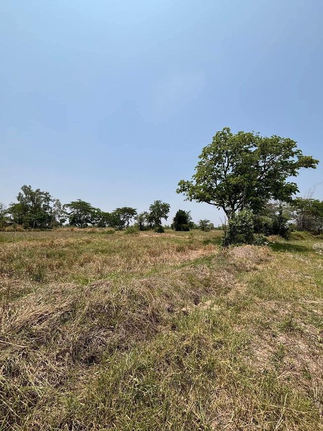 ขายที่ดิน 13 ไร่ 1 งาน 76 ตารางวา ไร่ละ 1,800,000 บาท 7