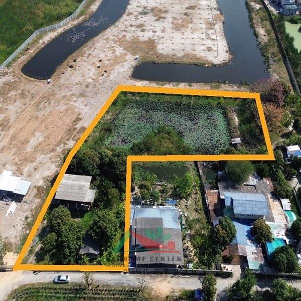 ขายที่ดินพร้อมบ้านและบ่อบัว ขนาด1-1-66ไร่ ซ.วัดเวฬุวนาราม18 ราคาพร้อมคุย 5