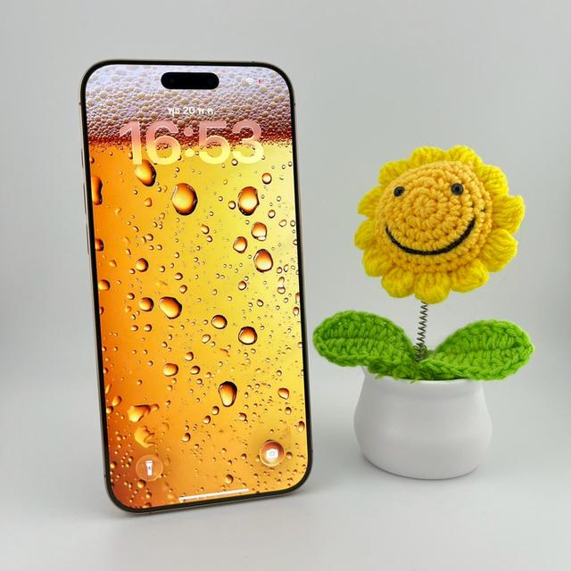 iPhone 16 Pro Max 512 GB | PH323