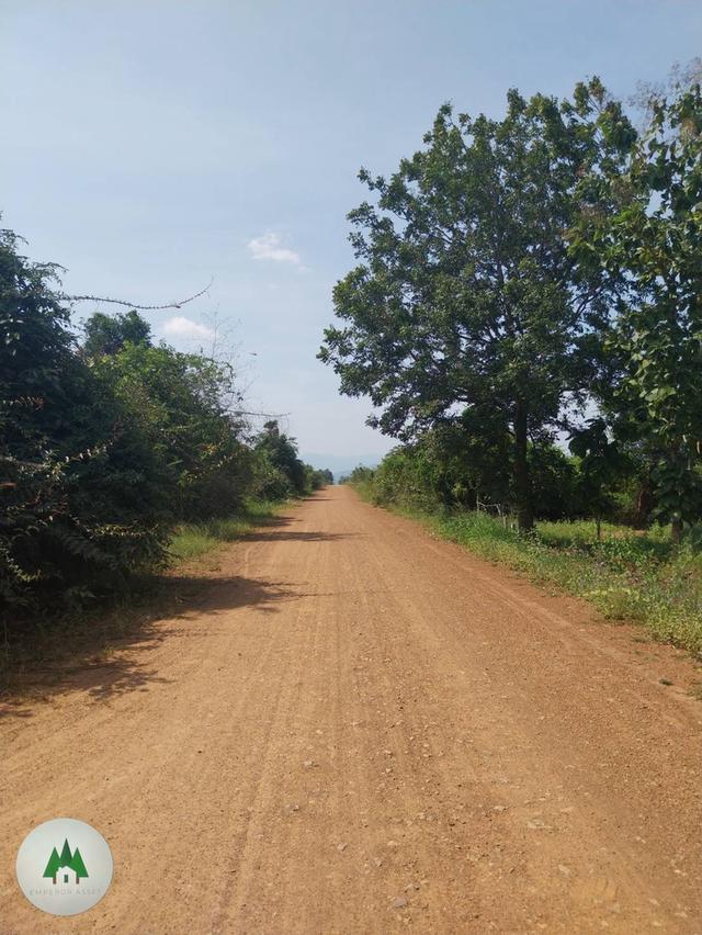 ขายที่ดิน โฉนดราคาถูก บ้านท่าเคย อำเภอสวนผึ้ง จังหวัดราชบุรี  เนื้อที่ 11 ไร่ 💰ราคาไร่ละ 230,000 บาท  3