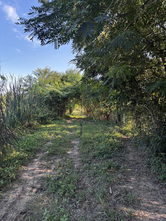 ที่ดินติดถนน ขายด่วน! 7 ไร่ 57 ตรว. อ.บ้านโป่ง ราชบุรี | เจ้าของขายเอง  7