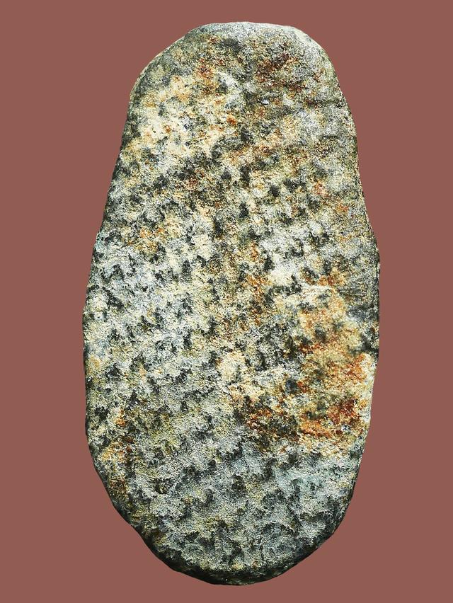 พระพิจิตรเม็ดข้าวเม่า...เก่าๆ 2