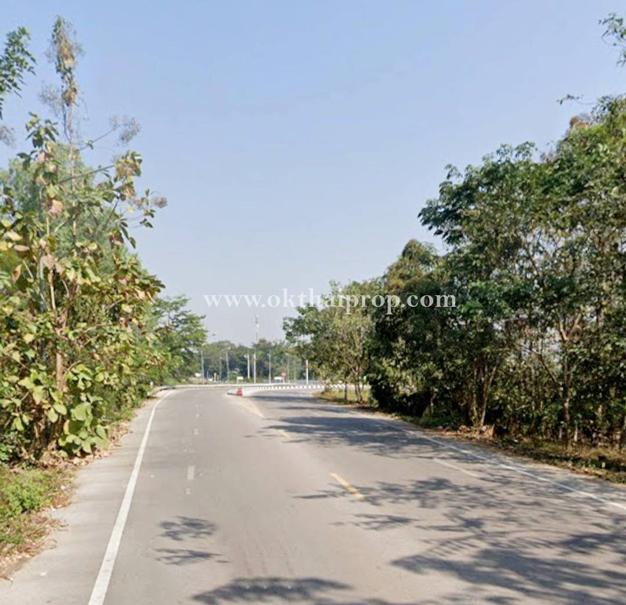 ที่ดินพร้อมต้นสักแปลงมุม ติดถนนลำปางหลวง ใกล้เทศบาลตำบลลำปางหลวง  3