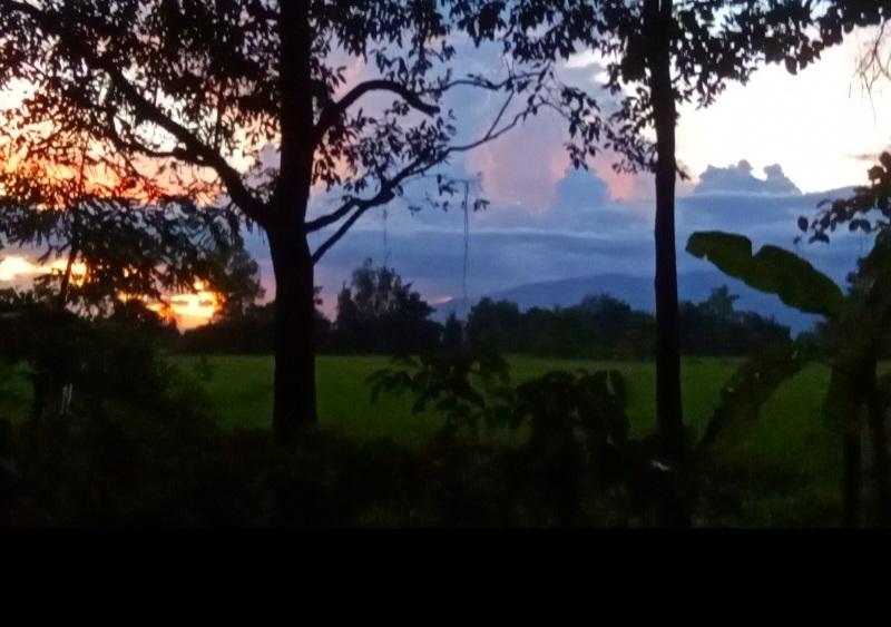 ขายที่ดิน 2 ไร่พร้อมบ้าน 4