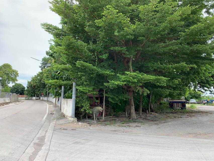 ขายที่ดินหนองมะนาว ซอยทุ่งกราด 4 ไร่ ถมแล้วติดถนนคอนกรีต ใกล้ถ.สุขุมวิท(3)-2 กม. ใกล้ท่าเรือแหลมฉบัง-8 กม. ชลบุรี 7
