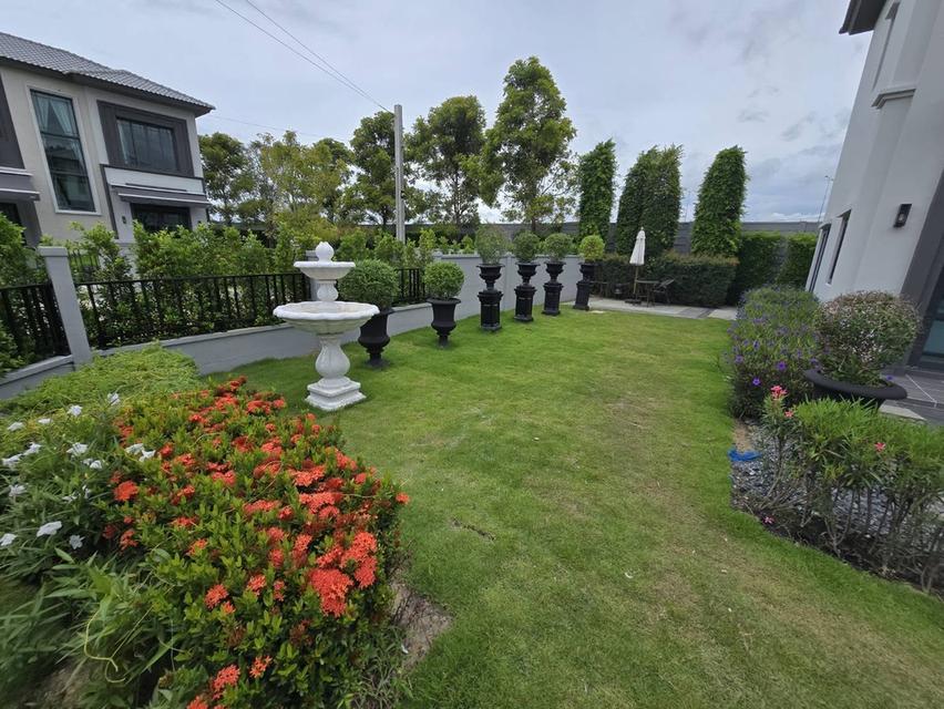House For Rent Grande Pleno สุขุมวิท-บางนา 2