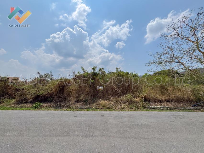 ขายที่ดิน ภูภัทรา เขาใหญ่ พญาเย็น ปากช่อง นครราชสีมา 15