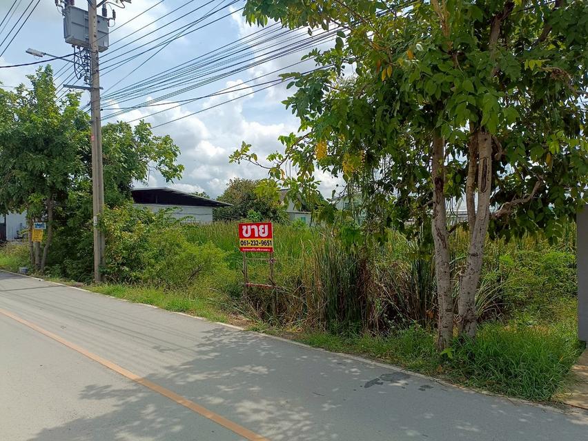 ที่ดินเปล่า 2