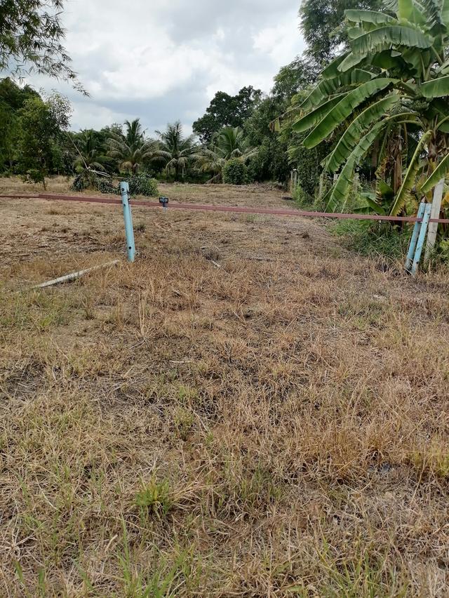 ที่ดินสวยบรรยากาศ​ดีใกล้กรุงเทพ​ เดินทางสะดวก​ 4