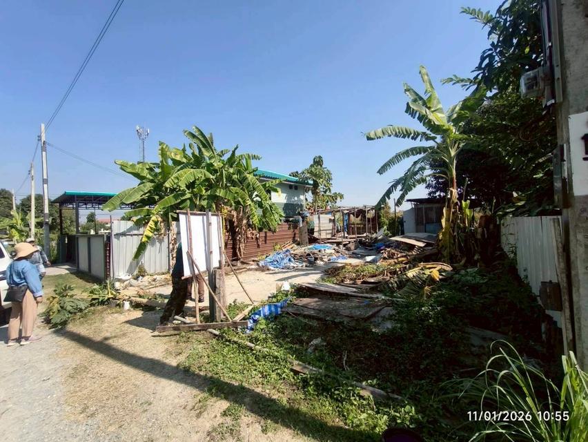 ขายด่วนที่ดินซอยวัดบางม่วง 50 ตรว ติดถนนสาธารณะ ถมแล้ว อ.บางใหญ่ จ.นนทบุรี 5