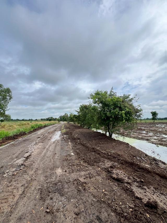 ที่ดินคลอง 5 คลองหลวง ทำเลดี ใกล้มอเตอร์เวย์! 6