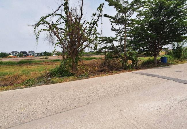 ขายที่ดิน คลอง 2 คลองหลวง ปทุมธานี ซอยบงกช 50 เนื้อที่ 1 ไร่ แปลงสวย 2