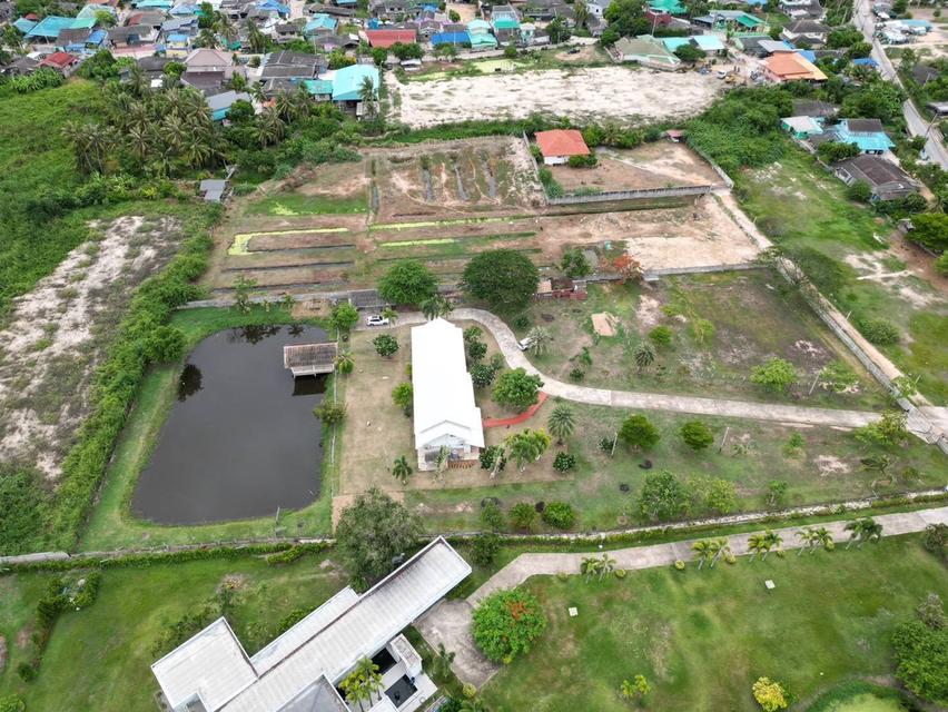 ขายถูกที่ดินสวย บ้านพักตากอากาศ ผืนใหญ่ใกล้ทะเลชะอำ 8
