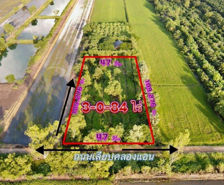 ข️ายที่ดินบึงกาสาม 3 ไร่ คลอง11 ใกล้ถนนเส้น5021-9.5กม. อ.หนองเสือ ปทุมธานี 1