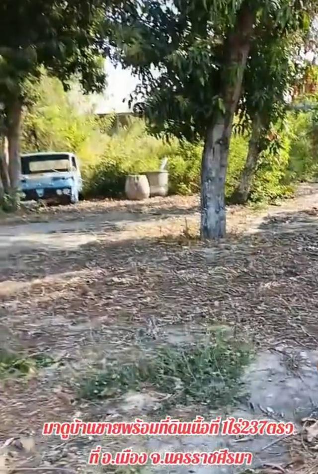 ที่ดิน พร้อมบ้านหลังใหญ่ 2