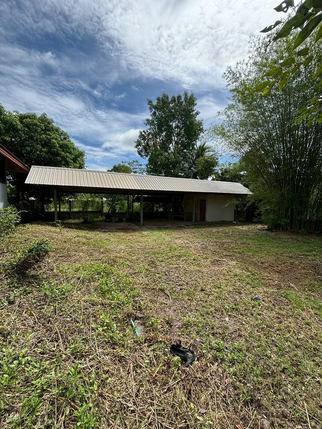 บ้านเดี่ยว พร้อมที่ดินผืนใหญ่ 7