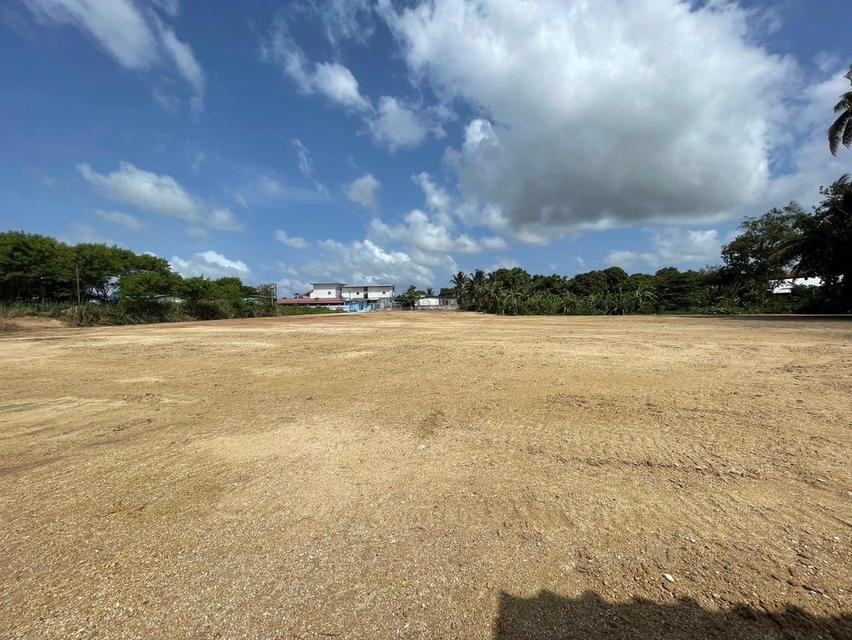 ขายที่ดินหนองขามถมแล้ว 3 ไร่ ติดถนนซอย6ชุมชนหนองค้อ ใกล้นิคมปิ่นทอง2-4กม.ใกล้ท่าเรือแหลมฉบัง-13กม. อ.ศรีราชา ชลบุรี 3