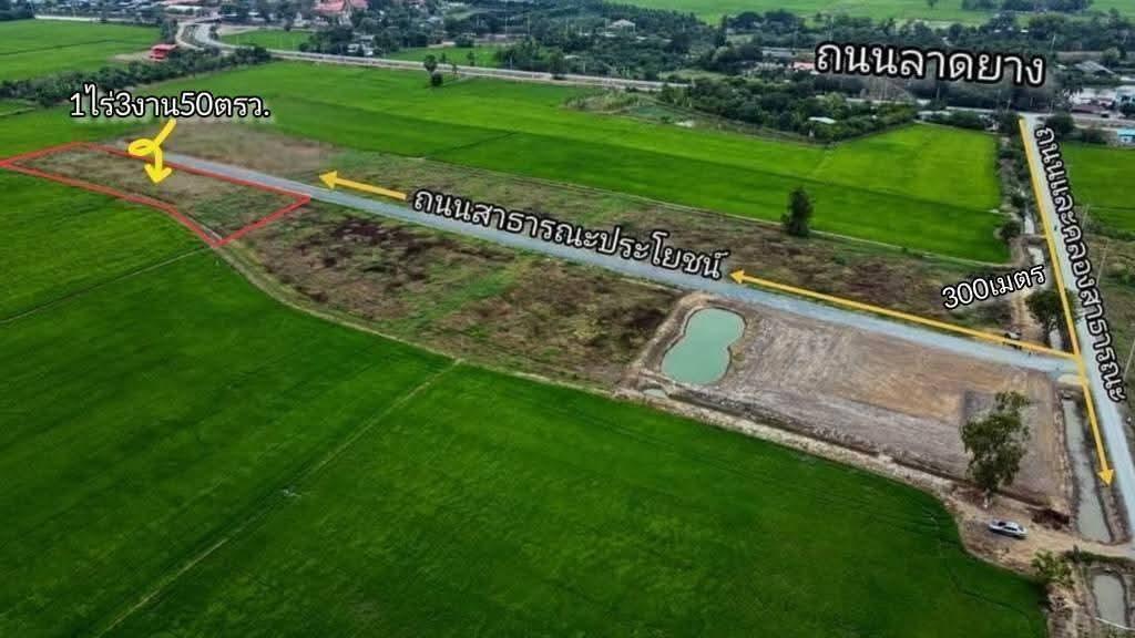 ที่ดิน1ไร่3งาน50ตร.ว. แปลงสุดท้าย ราคาถูก เมืองสุพรรณบุรี 3