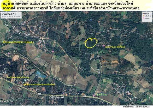 ขายด่วนที่ดิน 5 ไร่ แม่แตง เชียงใหม่ 2