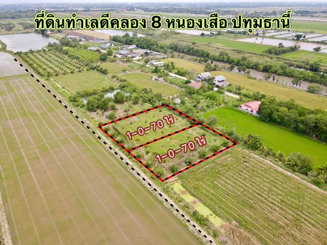 ขายที่ดินหนองเสือ 1 ไร่ คลอง8 หลังอบต.บึงบอน ใกล้ถนนเส้น3221-500เมตร บึงบอน ปทุมธานี 1