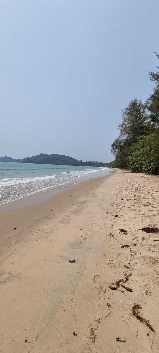 ขายที่ดินชายหาดส่วนตัว 100เมตร ต.ซากพง อ.แกลง จ.ระยอง 4