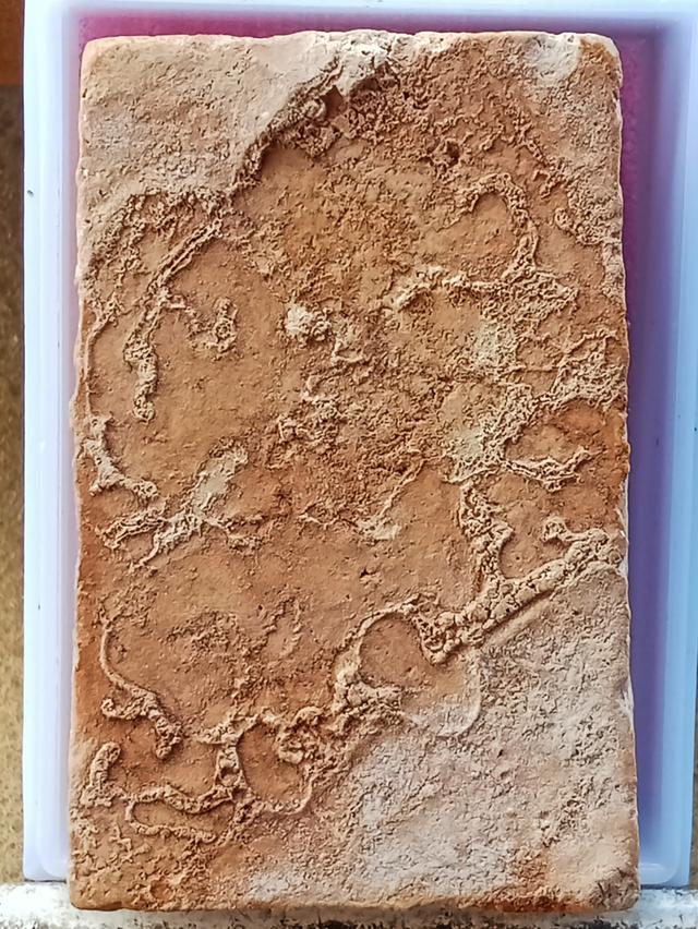 พระสมเด็จวัดบางขุนพรหมพิมพ์ใหญ่พระประทาน 2