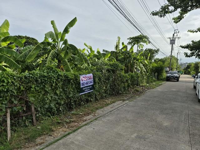 ขาย ที่ดินถมแล้ว 1 ไร่ ใกล้สวนหลวง ร. 9, ห้างพาราไดซ์, รถไฟฟ้า, รพ.สินแพทย์ เพียง 3-5 นาที ราคาดีที่สุดในย่านนี้ !! 5