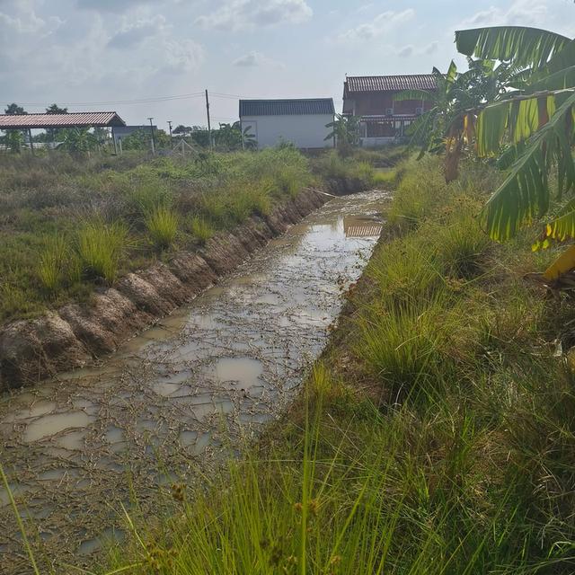 ที่ดิน อำเภอหนองหญ้าไซ สุพรรณบุรี 4