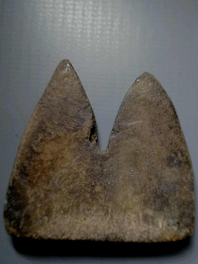 พลายคู่ 2