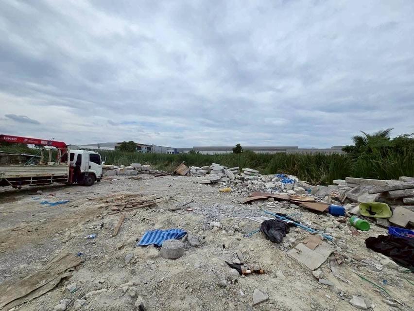 Vายที่ดินผังม่วง 2ไร่เศษ ติดถนน 2 ด้าน ซอย คุ้มเกล้า 50 ลาดกระบัง กรุงเทพมหานคร 7