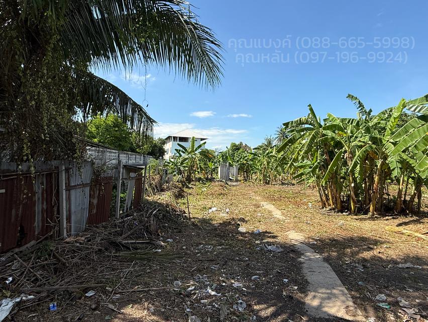ที่ดินติดถนนใหญ่ราชพฤกษ์ 556 ตร.ว. 7