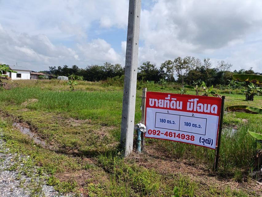 ที่ดินเปล่า (มีโฉนด) 4