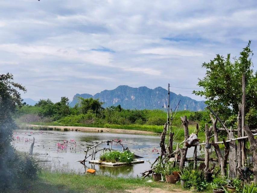 ที่ดินเปล่า 12 ไร่ อ.ชะอำ 3