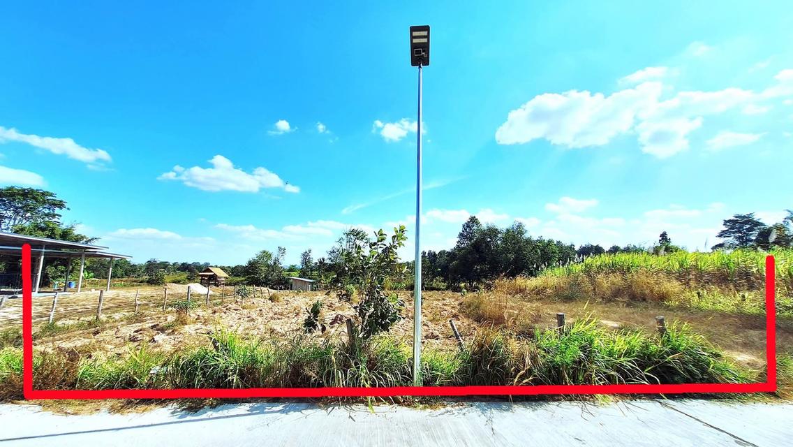 ด่วนขายที่ดิน1ไร่ ติดถนนคอนกรีต เมืองมุกดาหาร หน้ากว้าง27×ยยาว60 สี่เหลี่ยมผืนผ้า ยกแปลงราคา 8.8แสน บาท 2