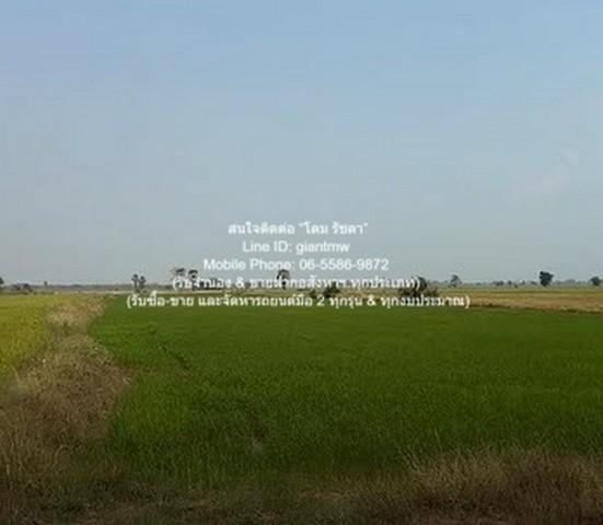 DSL-1030 ขาย ที่ดิน //ต่ำกว่าราคาประเมิน//ขายที่ดินทุ่งนาข้าว อ.นครหลวง จ.พระนครศรีอยุธยา 17-0-76 ไร่ 17 ไร่ 6876 ตร.วา 7