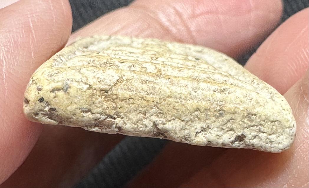 องค์ละ1000 🙏พระสมเด็จพระบ้าน พิมพ์ต่างๆ รูปที่ 5