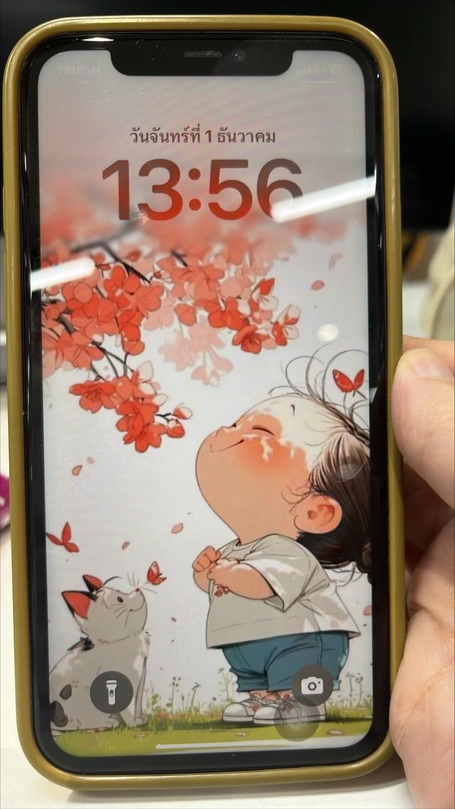 Iphone 11 สภาพดี ของแท้ มีกล่อง อุปกรณ์ครบ